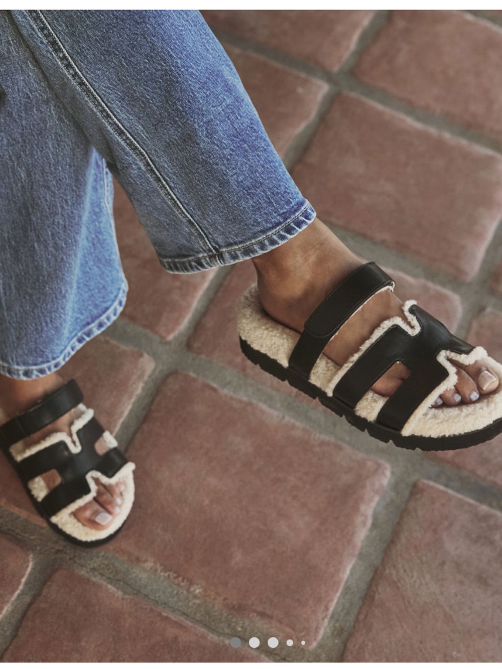 Vici H Sherpa slides